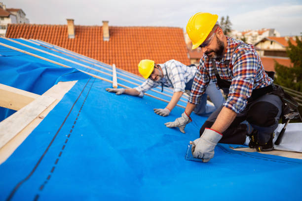 Best Commercial Roof Installation  in Fredonia, AZ