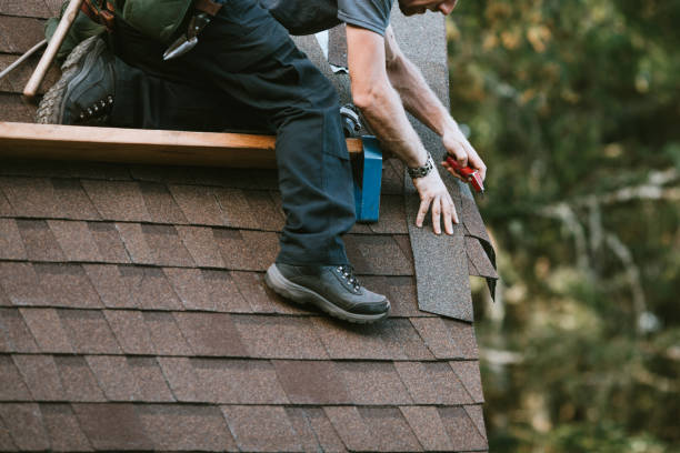 Best Metal Roofing Contractor  in Fredonia, AZ