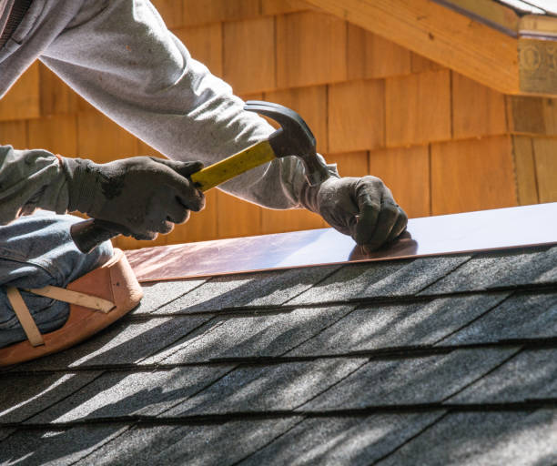Best Flat Roof Repair Services  in Fredonia, AZ